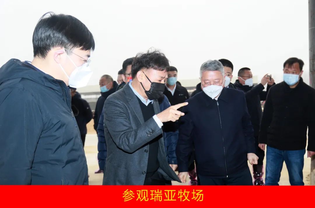 新年開新局 合作促發(fā)展丨佳木斯市委常委、副市長閆志剛一行蒞臨花花牛乳業(yè)集團及佳田企業(yè)考察座談