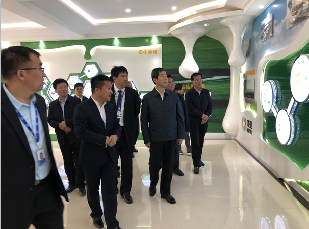 河南省委副書記、省長陳潤兒一行蒞臨 花花牛集團魯山瑞亞牧業(yè)有限公司視察調(diào)研