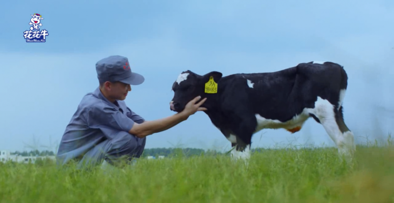 中國動物衛(wèi)生流調(diào)中心首席科學(xué)家范偉興一行蒞臨花花牛郟縣發(fā)展、魯山瑞亞參觀調(diào)研
