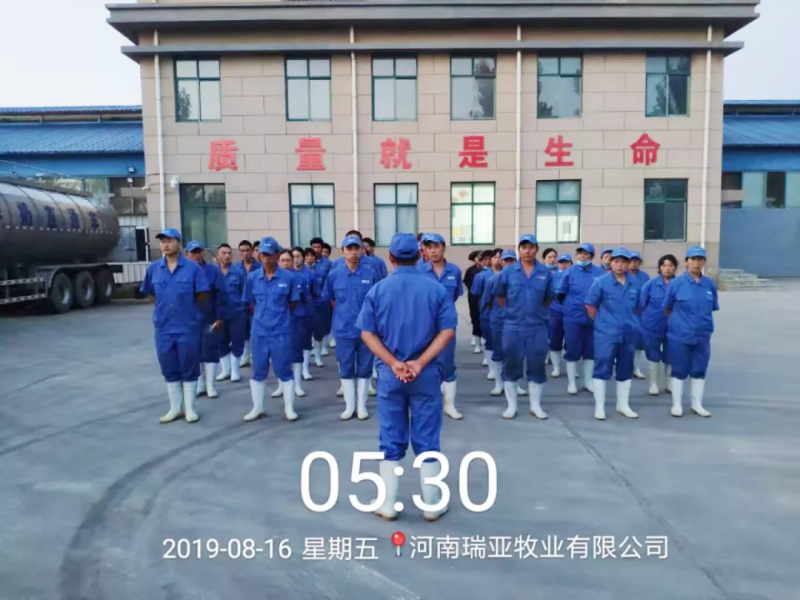 小晨會·大能量——砥礪奮進的花花牛，加油！